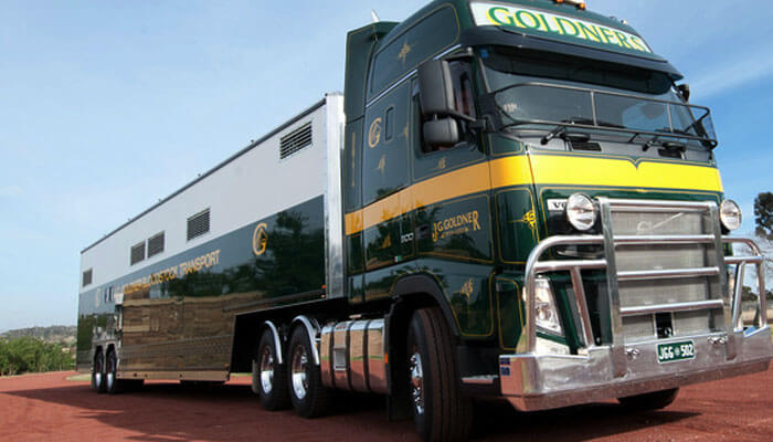 Goldners Horse Transport 4